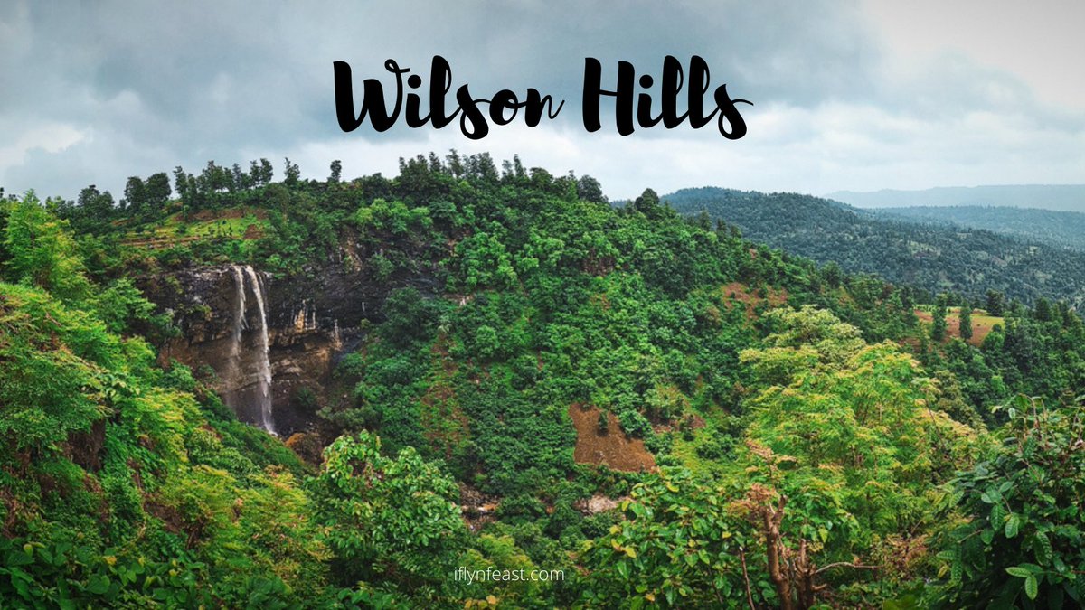 Wilson Hills photo 3