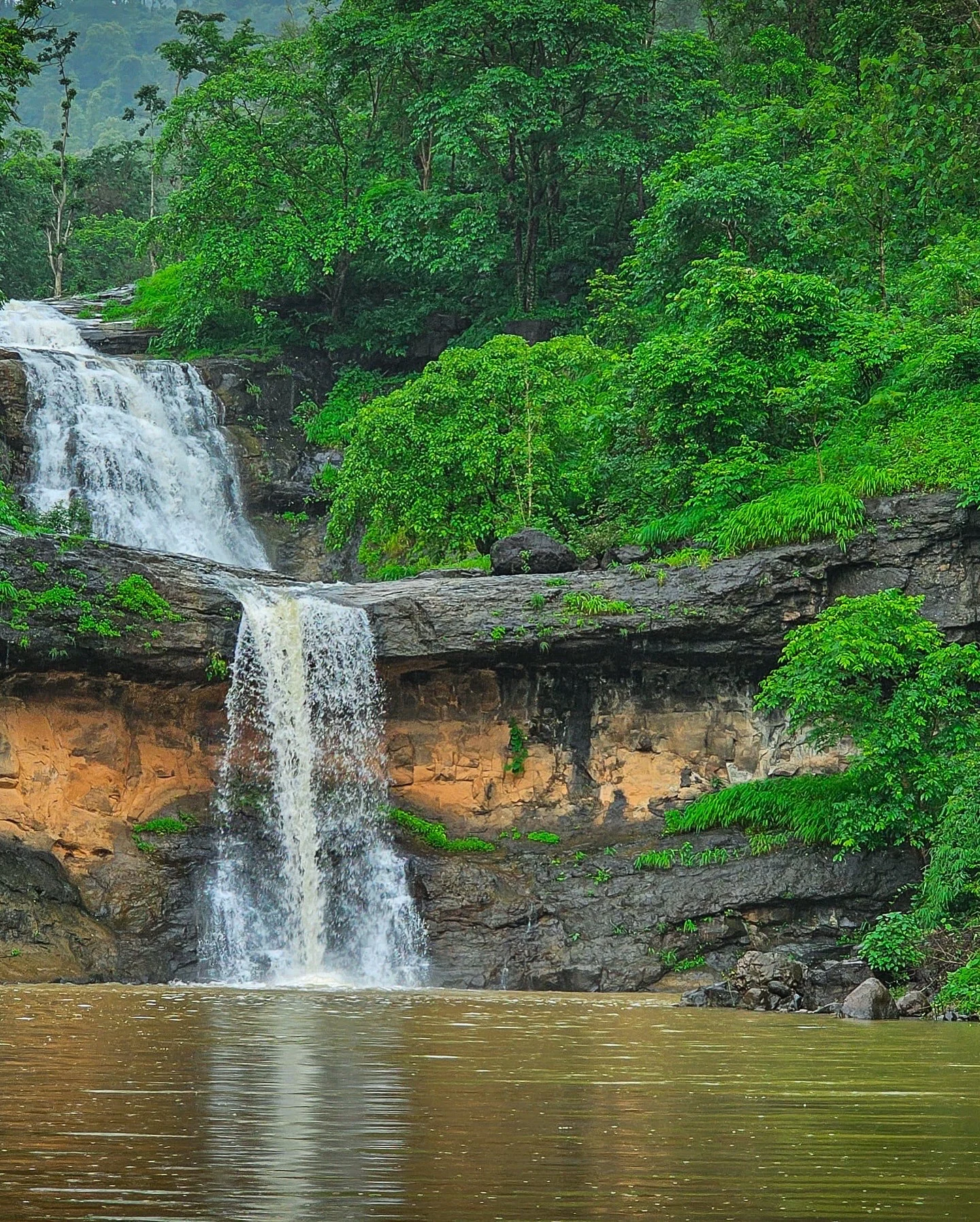 Valsad — photo